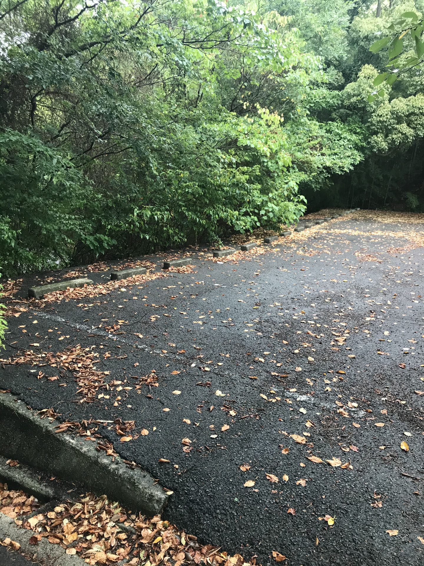 登山口入ってすぐにある、わくわくパーク駐車場。
ここが最短かもだけど、土日とか紅葉のシーズンはすぐいっぱいになりそう。