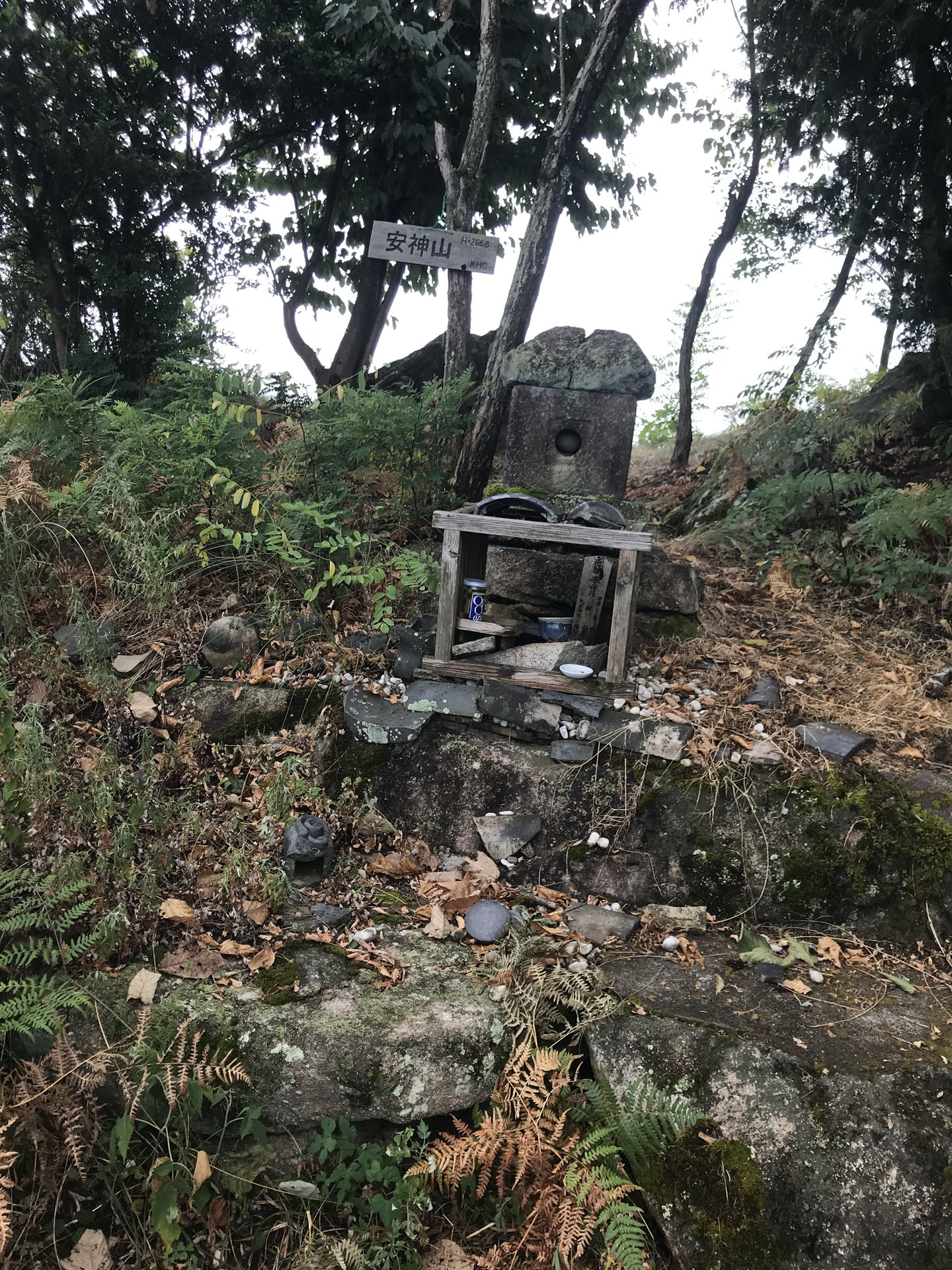 安神山頂上到着。
ここで休憩しようと思ったけど、虫が多いし座りやすそうな場所もなかったのですぐに烏帽子岩を目指します。

