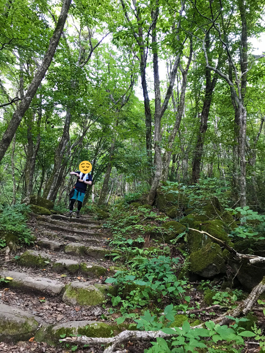 森林部まで降りてきました。